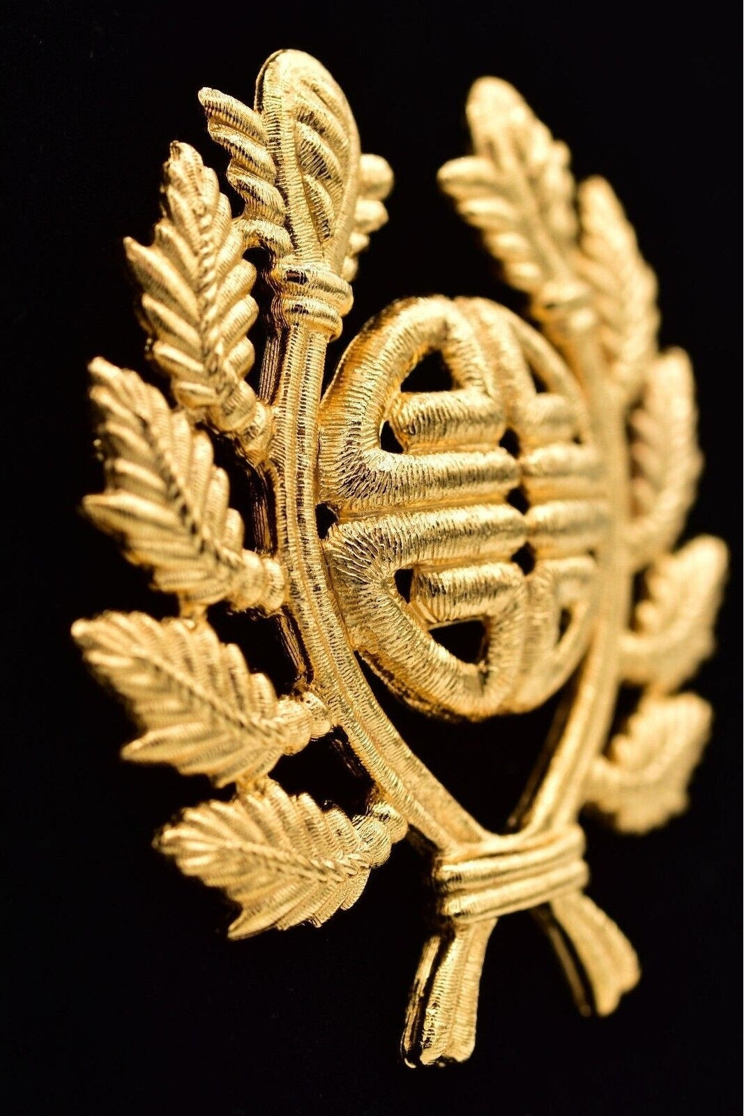 Gold emblem with leaves on a black background