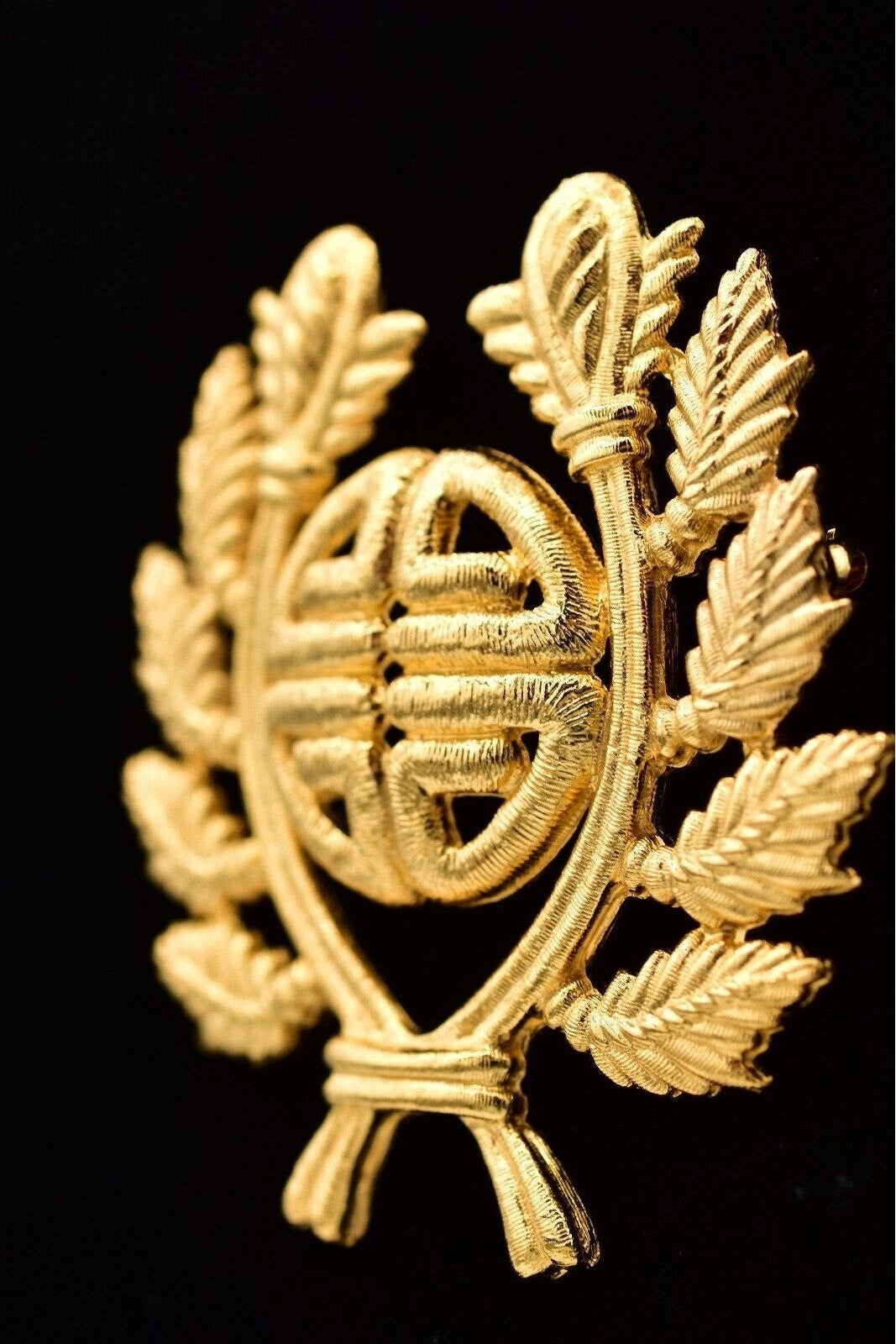 Gold emblem with laurel leaves on a black background